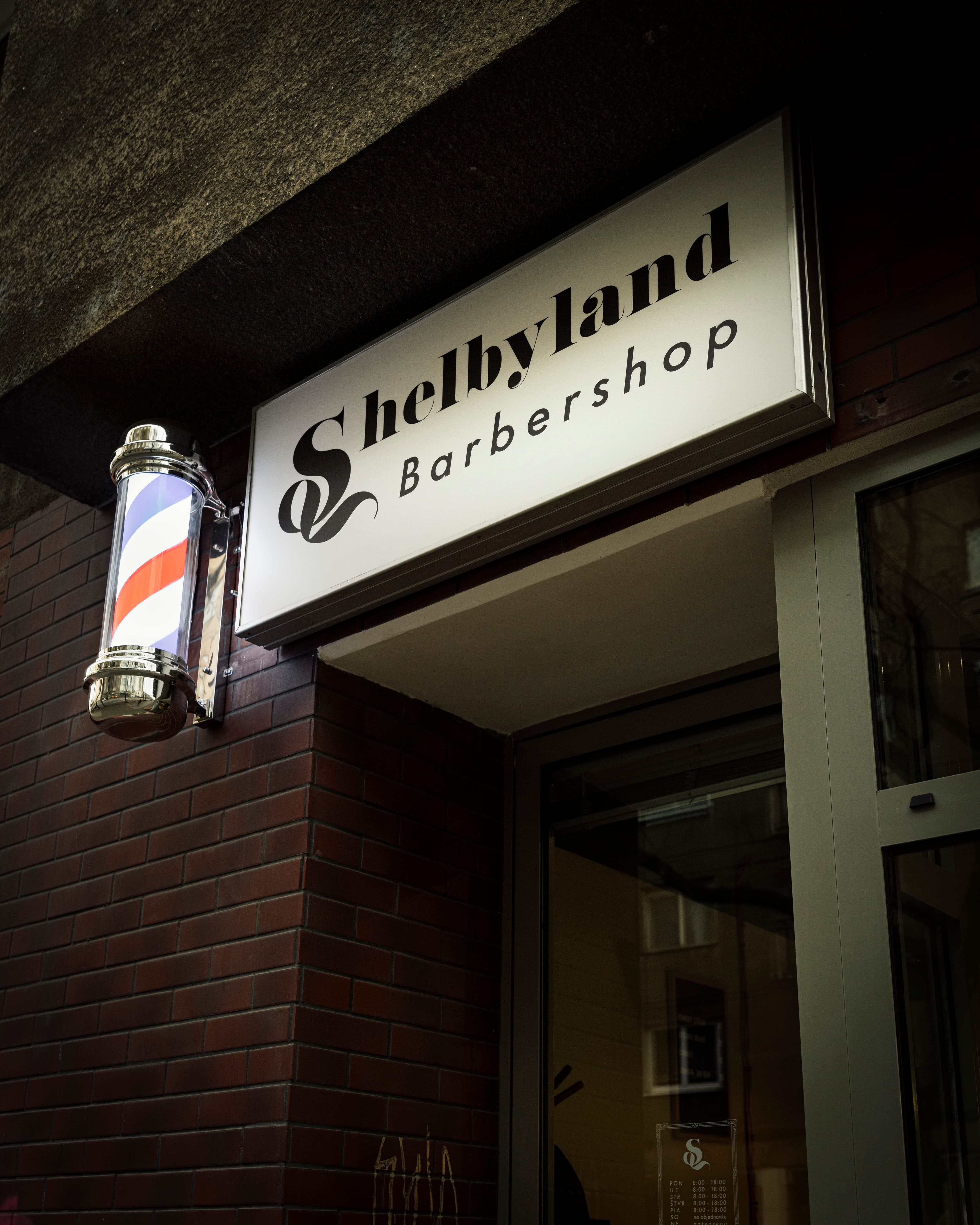 Shelbyland Barbershop - Professional barber work 17